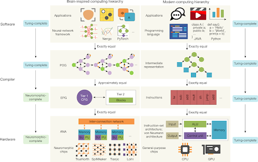 Neuromorphic hardware is the physical foundation of cognitive machines.