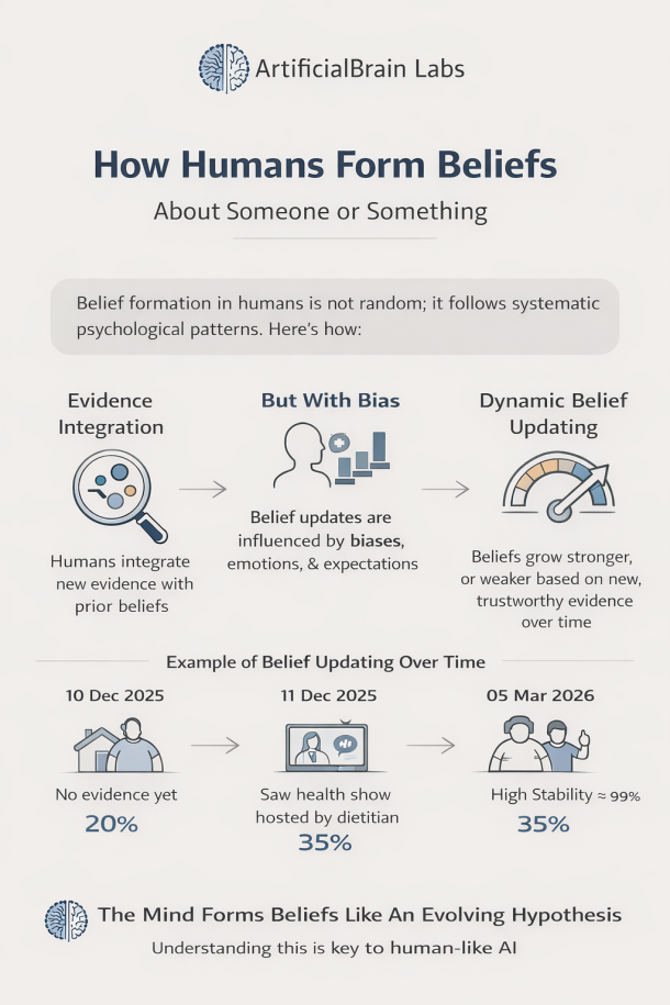 How Humans Form Beliefs About Someone or Something -A Psychology- and Biology-Grounded Perspective Toward Belief-Aware Artificial Intelligence